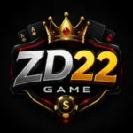 ZD22 Game APP Download