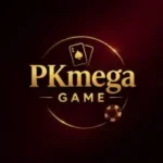 PKmega Game APP Download